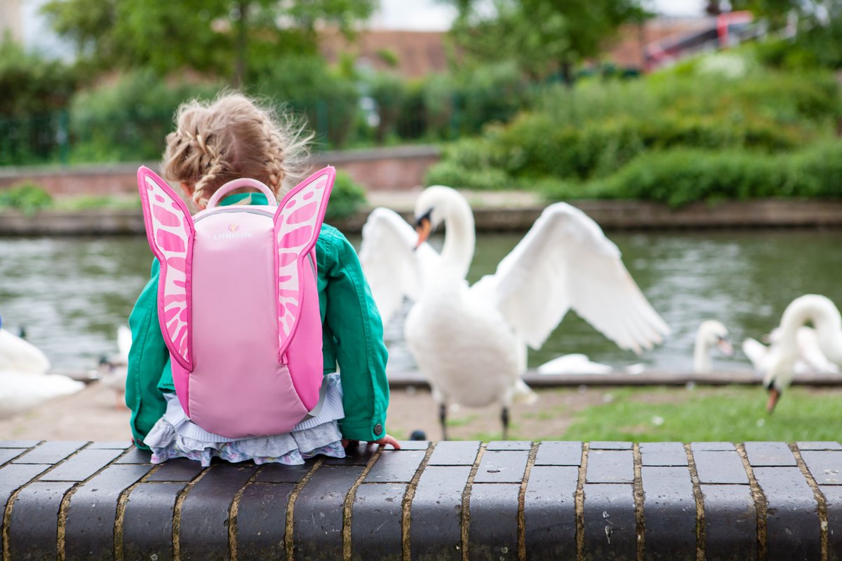 Did you know that some of our amazing toddler backpacks also come in a bigger size perfect for children? The same great design - just bigger and without reins!

Why not add a little more fun to your kids adventures?

littlelife.com/products/kids-…

#kidsbackpack #littlelifeuk