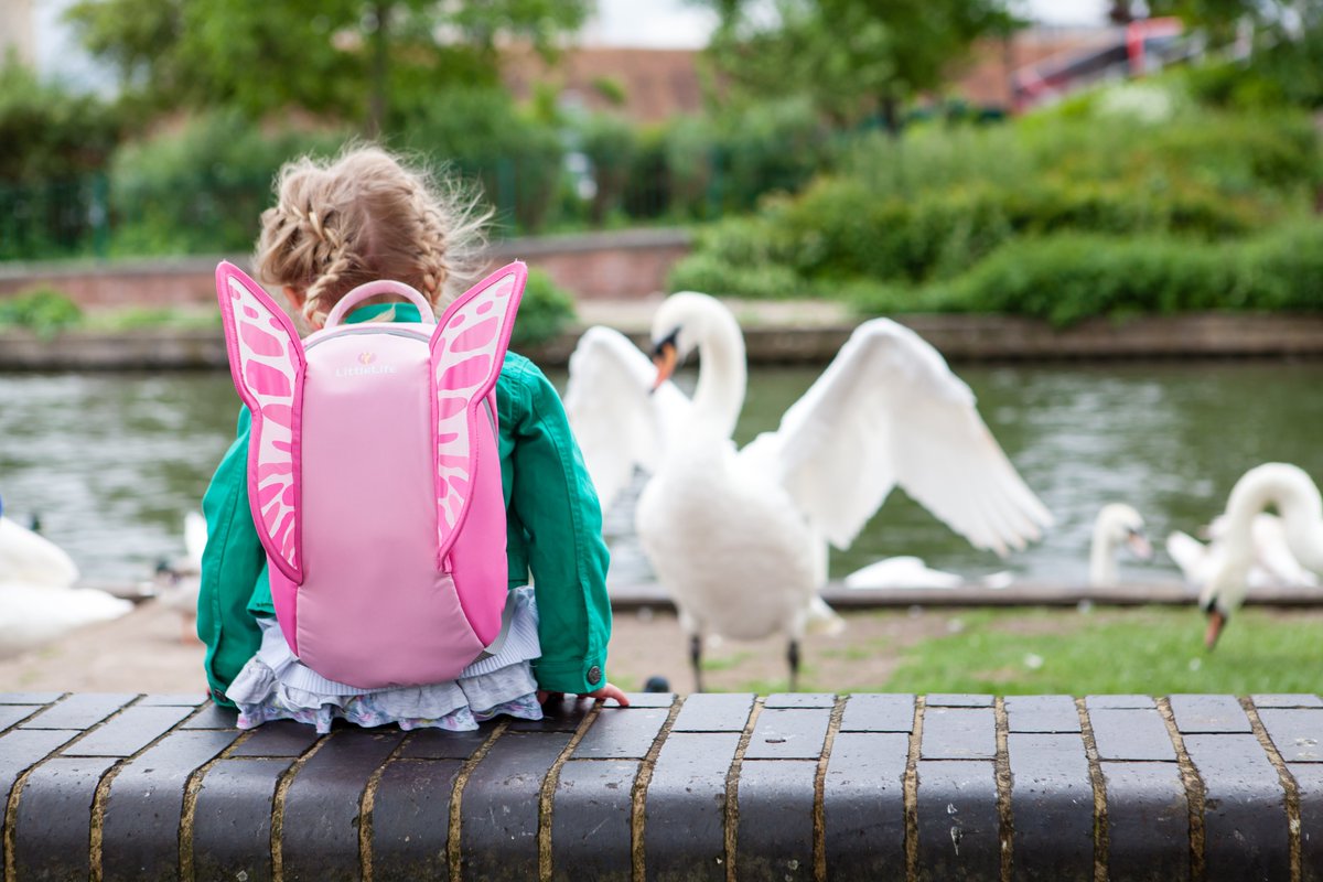 Did you know that some of our amazing toddler backpacks also come in a bigger size perfect for children? The same great design - just bigger and without reins! Why not add a little more fun to your kids adventures? littlelife.com/products/kids-… #kidsbackpack #littlelifeuk