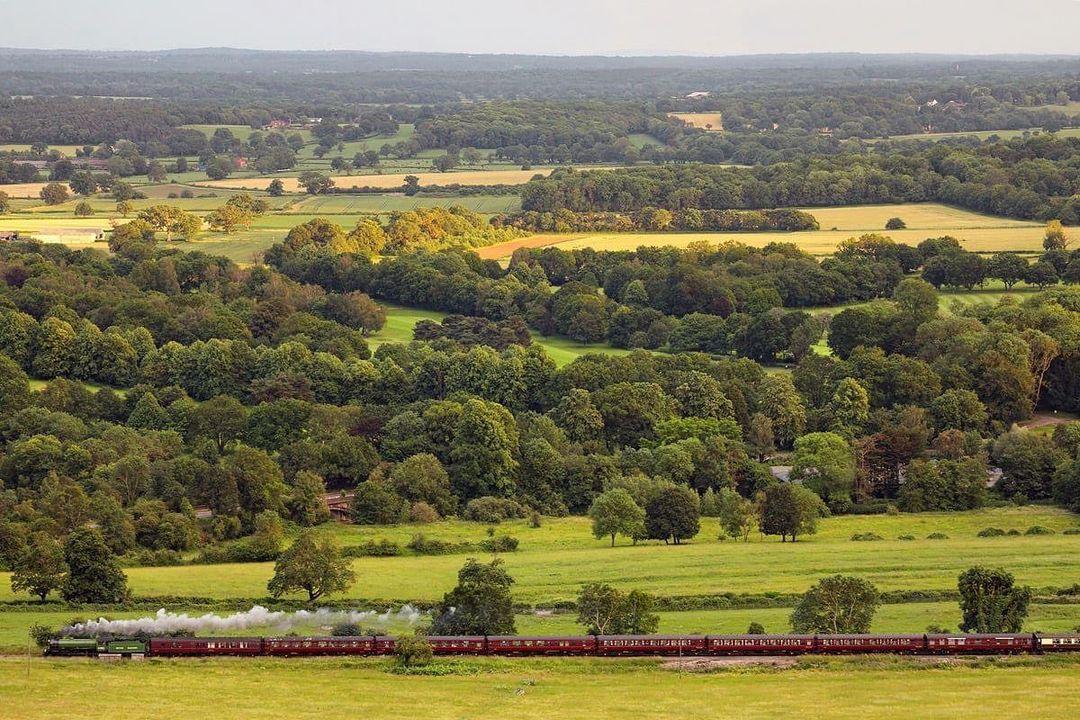 The Sunset Steam Express tweet media