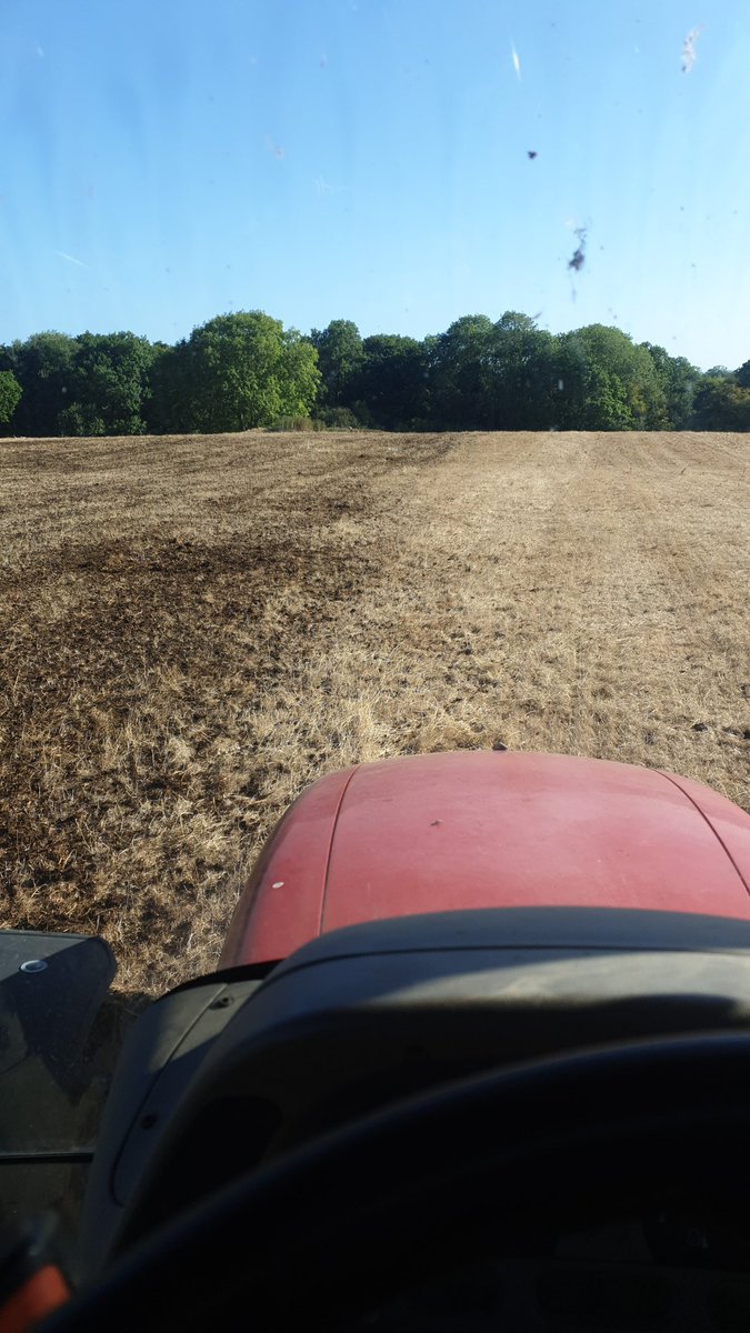 Adam Quinney🏴󠁧󠁢󠁥󠁮󠁧󠁿 tweet media