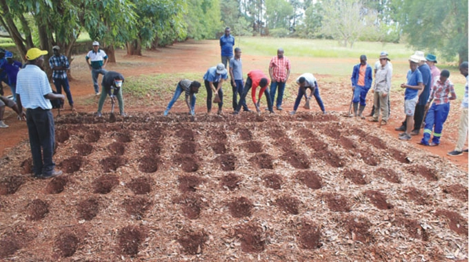 GuardianZim's tweet photo. Pfumvudza mechanisation to boost yields https://t.co/i5cWbjA0z6 https://t.co/9p97lyoxPU