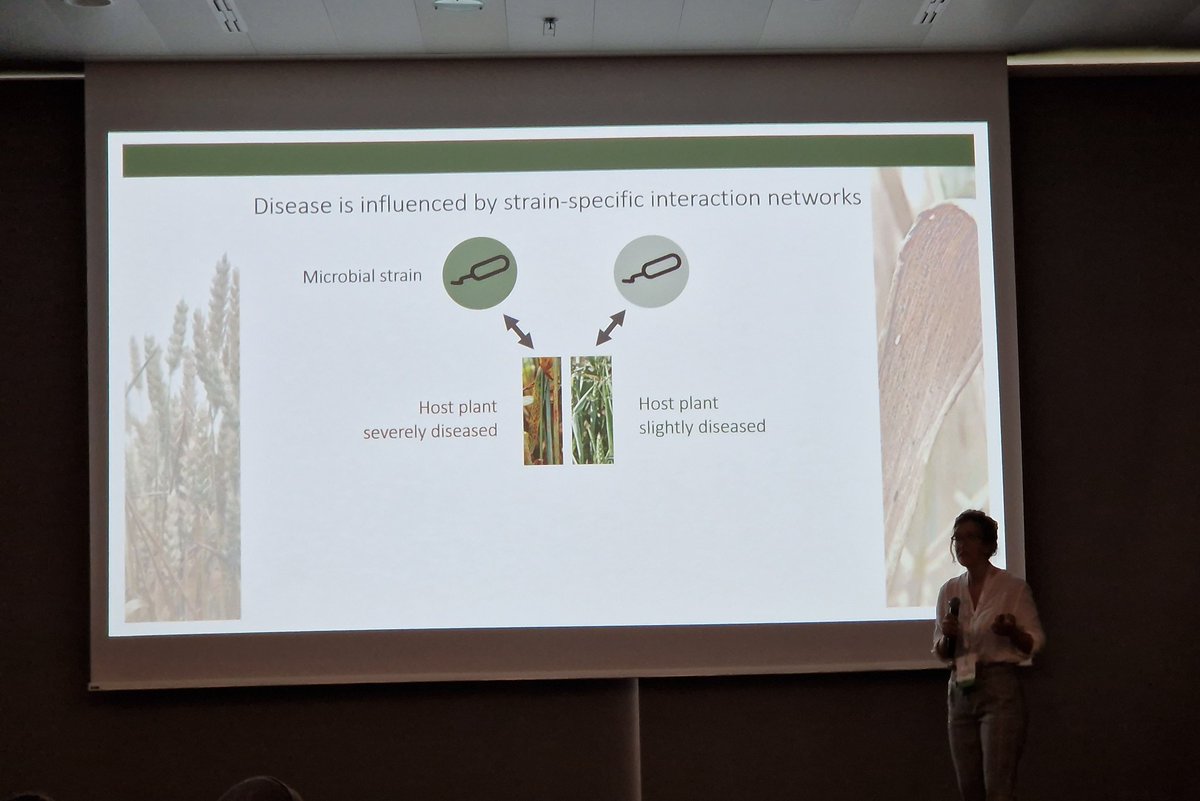 Fabio Palmieri (@palmieri_f_) on Twitter photo <a href="/LuziaStalder/">Luzia Stalder</a> from @danielcroll's groupe <a href="/UniNeuchatel/">Université Neuchâtel</a> presenting her work on cross-kingdom Interactions between #Zymoseptoria tritici and the phylosphere #microbiota at #ISME18 <a href="/ISME_microbes/">ISME - International Society for Microbial Ecology</a> <a href="/LuziaStalder/">Luzia Stalder</a> from @danielcroll's groupe <a href="/UniNeuchatel/">Université Neuchâtel</a> presenting her work on cross-kingdom Interactions between #Zymoseptoria tritici and the phylosphere #microbiota at #ISME18 <a href="/ISME_microbes/">ISME - International Society for Microbial Ecology</a>