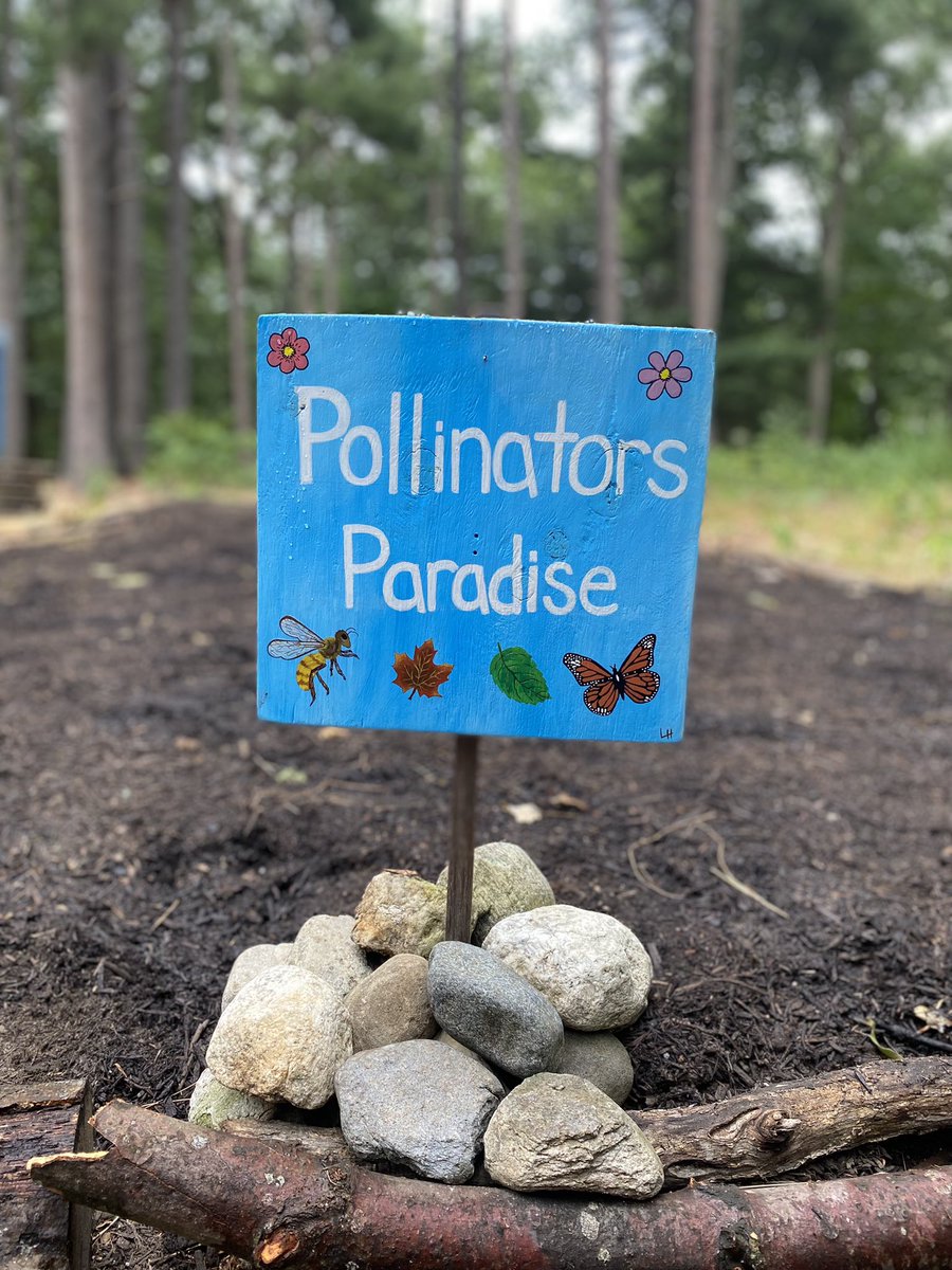 SueSchep's tweet photo. Even in the smallest ways anyone can be an Upstander for something or someone greater than themselves. I’m so proud of this Garden of Hope our campers created! @SCeastcampus @CampMassasoit @SpfldCollege @HMHou @ProjectWILD @UpstanderProj @BaltimoreWisdom https://t.co/LWOZkRqnMx