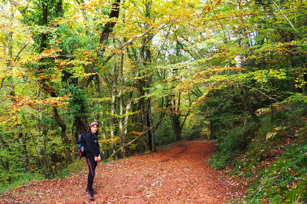 occitaniatours2's tweet photo. Causse Comtal, Aveyron, Occitania. Tan cerca pero tan diferente. #Occitanie #aveyron #Occitania https://t.co/Bwc4jj1Mfk