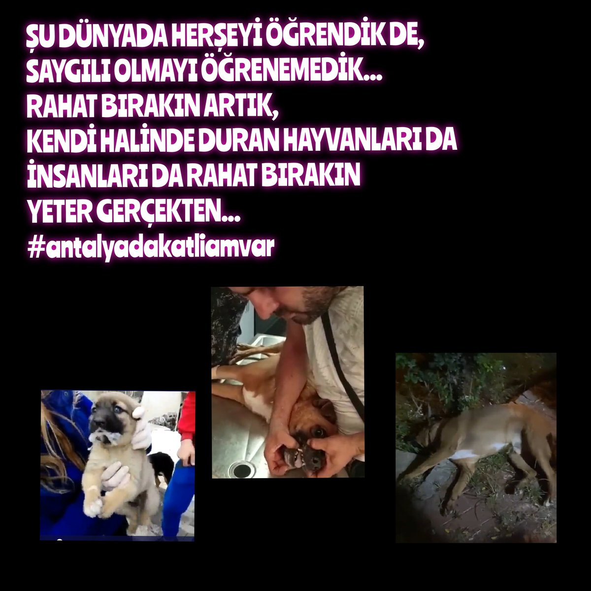 DOptisyen's tweet photo. #antalyadakatliamvar https://t.co/lQzkkRAvKk