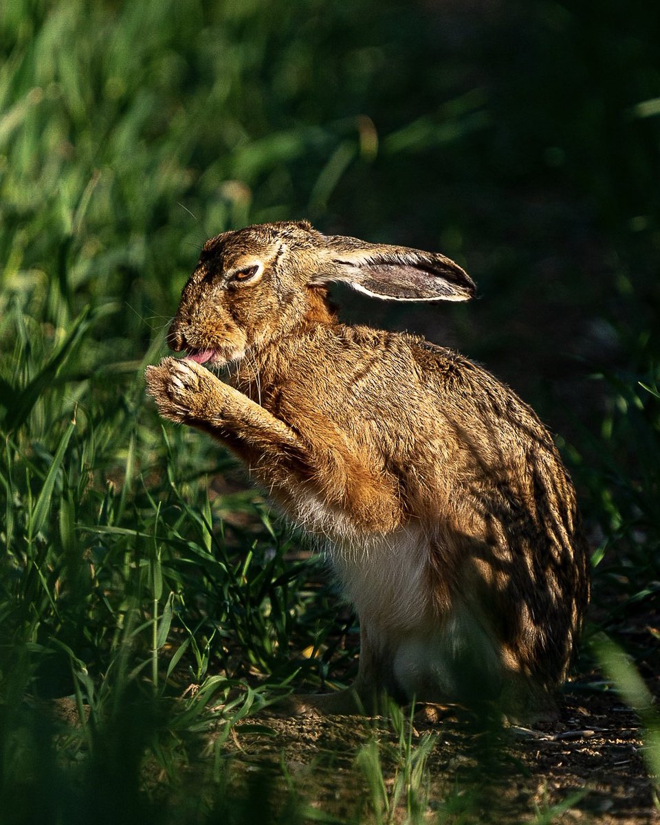 #WorldPhotographyDay #WorldPhotographyDay2022