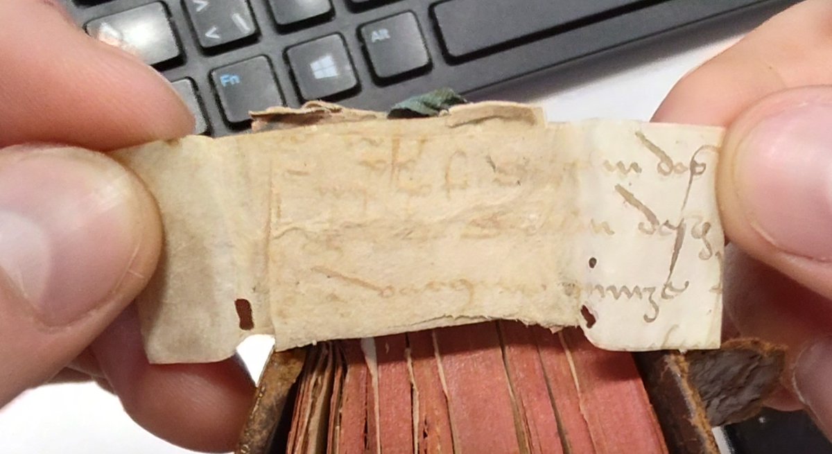 Another fascinating find: this 18th century book contains several parchment strips reinforcing its spine. The upper fragment shows us a 16th century gothica cursiva currens (possibly a remnant of a legal document). But can anyone tell us what language it is? #FragmentFriday