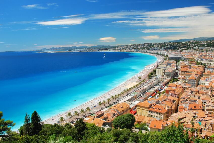 France Alumni tweet media