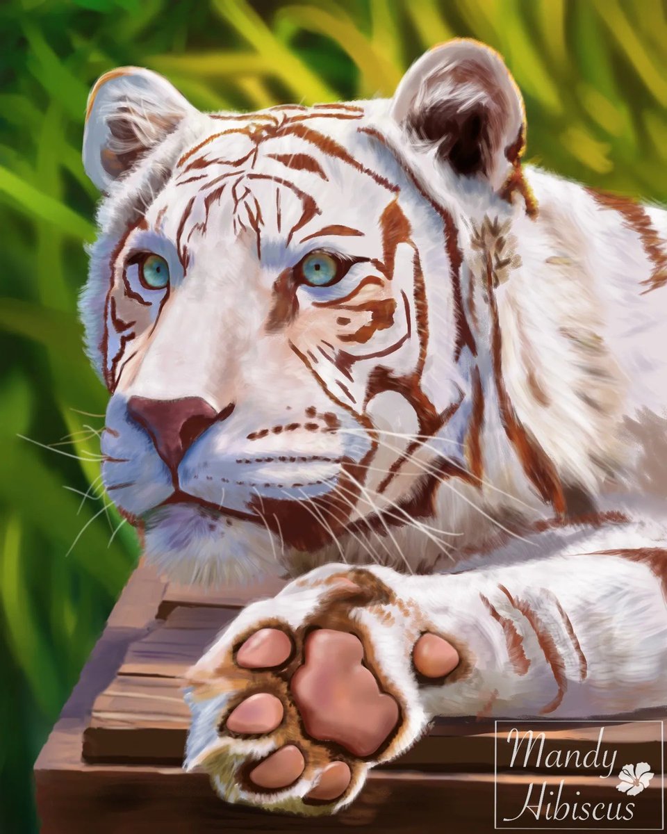 MandyHibiscus's tweet photo. @fakeeggs Thanks for the artshare!

I'm Amanda and I like to paint semi realistic stuff 🎨

Check my instagram for more of my work:
https://t.co/5XHLfj5QPS https://t.co/eIur2MIVo2