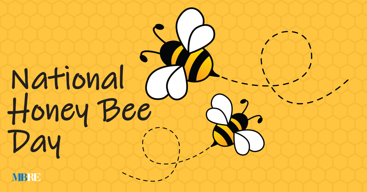 Tomorrow is #NationalHoneyBeeDay— a great time to honor the insect responsible for pollinating a third of the food we eat! Buy locally made honey from the <a href="/Honeycoop/">Chicago Honey Co-op on Threads</a> at the Logan Square Farmers Market or Green City Market. 🐝🍯

Find out more: chicagohoneycoop.com