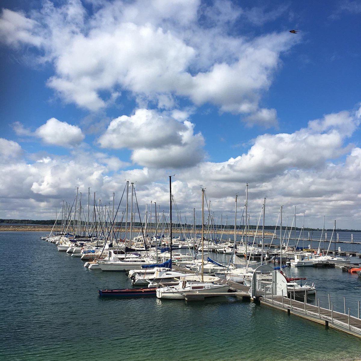 G27Marco's tweet photo. On pourrait presque se croire en #vacances mais chez nous ! #lac #foretdorient #mesnilsaintpere #aube https://t.co/xm6ewq0zkE