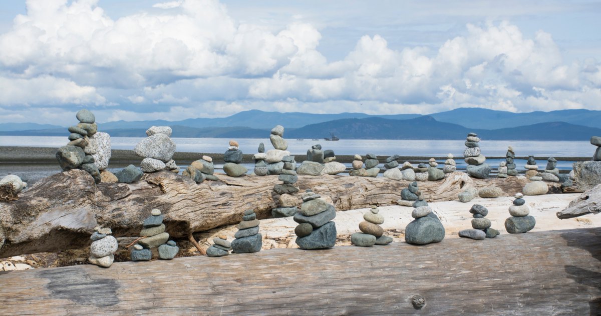 What a view!

Who would you want to go here with?

📍Parksville B.C
📸 Sharissa Johnson

#beachclubbc #vancouverisland #vanisle #parksvillebc #parksville #nanaimobc #beautifulbc #britishcolumbia #canada #vancouverbc #victoriabc #parksvillequalicumbeach