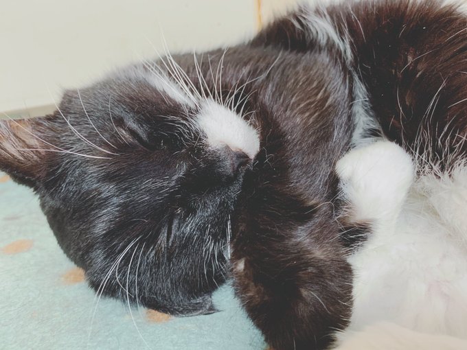 虚無を抱き締めて寝てる 