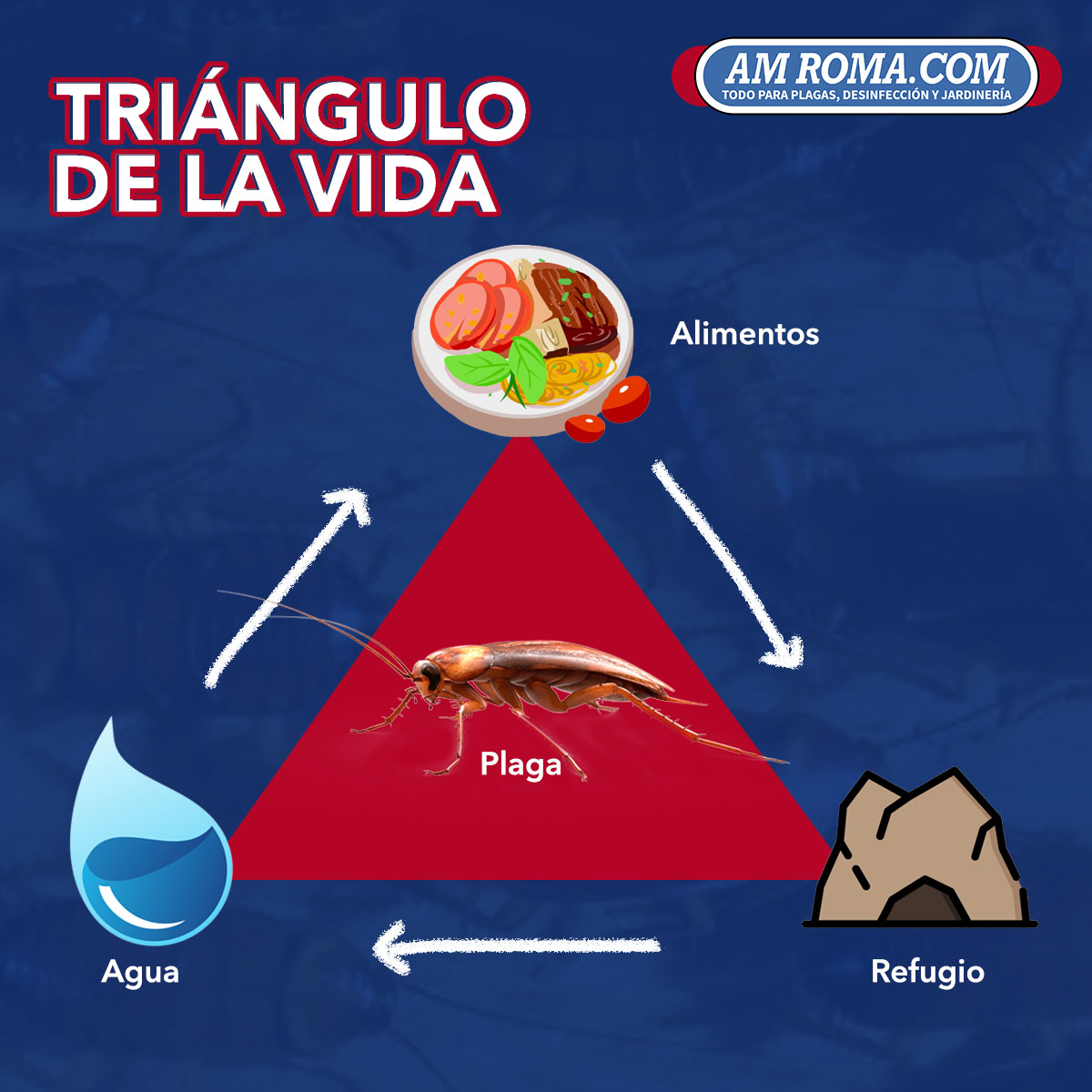 amroma_com's tweet photo. Recuerda la presencia de #plagas se debe a que se garantiza agua, alojamiento y alimento, principales aspectos que se conocen como el triángulo de la #vida. 😱🔺

#controldeplagas #amroma #salud https://t.co/FhlXI8DPo4