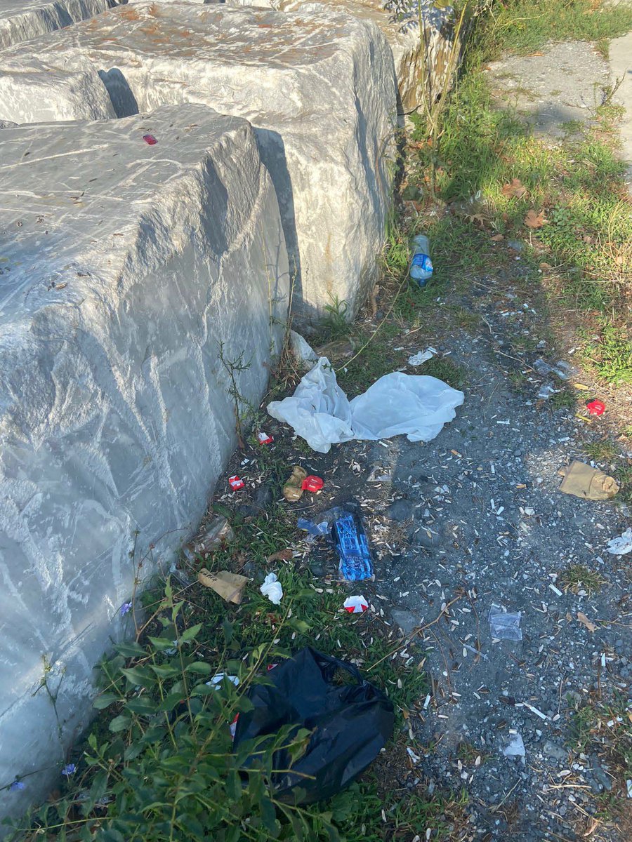 CarpeDiem__3's tweet photo. @IBBcozummerkezi @Bakirkoygovtr @bakirkoyb @BakirkoyBld @ekrem_imamoglu

İstanbul Bakırköy Belediyesi sınırları içerisinde bulunan Baruthane Millet Bahçesi temizliği hakkında.
İlgili alanın temizliği ile ilgili İBB sorumlu olup, konu hakkında çözüm beklemekteyiz.. https://t.co/cztZEnQ8DO