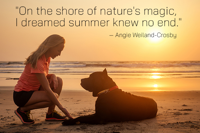 Phoenix Rising Integrative Vet Care tweet media