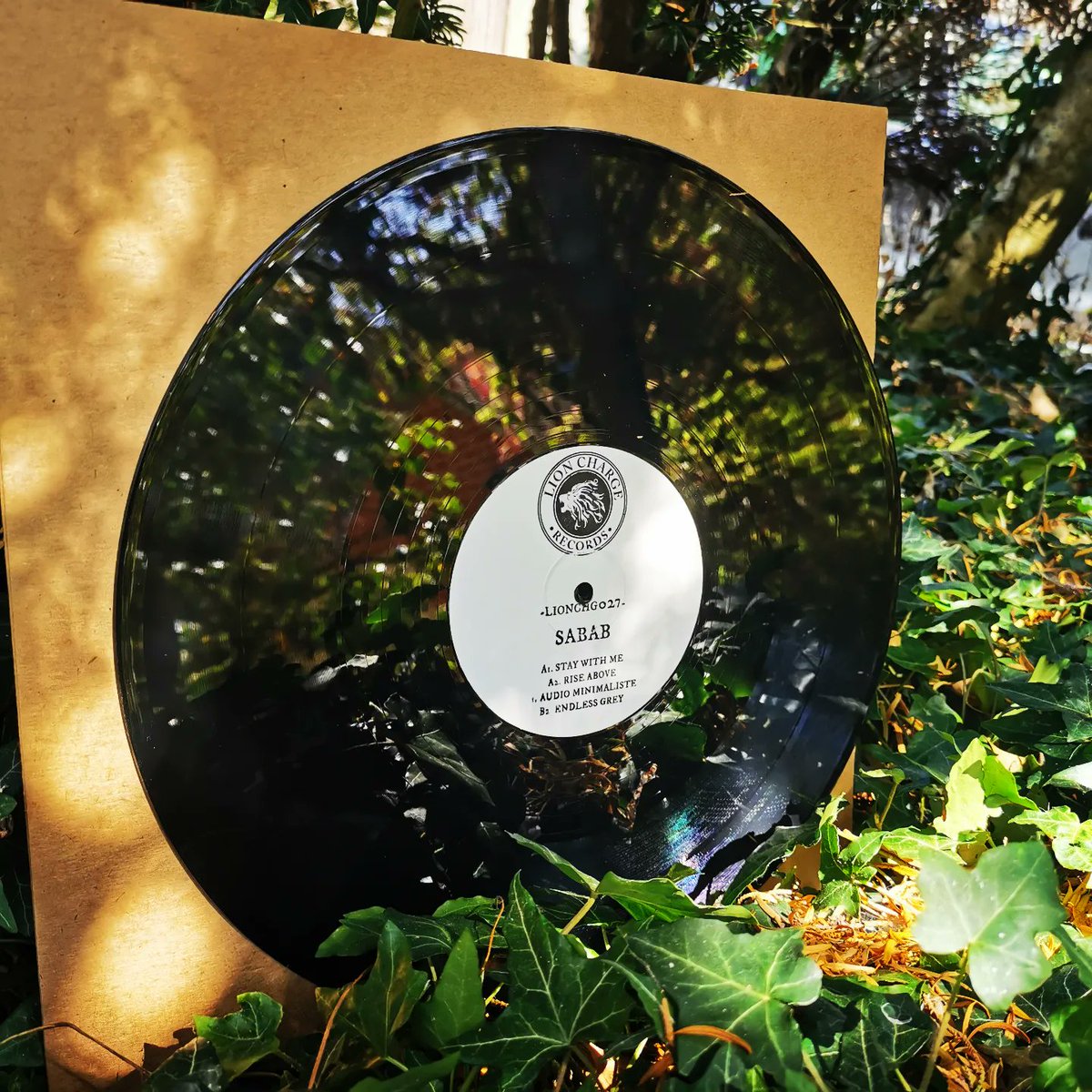 lioncharge's tweet photo. Out today

The Irish dubmaster returns ☘️

Sabab 'Rise Above'

Available on limited edition handstamped "12 vinyl from your favourite record store 💥

Redeye - https://t.co/Q2ufIq0loL

Juno - https://t.co/CdJPrWEg6Y

Deejay - https://t.co/ojjSq8YpFW https://t.co/OGK0dXbYHD