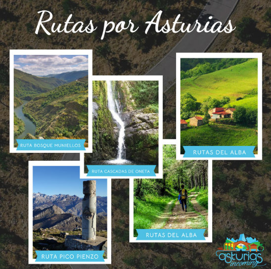 asturincoming's tweet photo. Eres amante del senderismo? Con Asturiasincoming podrás disfrutar de las mejores rutas.
Contacta con nosotros!
manuel@asturiasincoming.com
Tfno: +34 985 725 778

#turismoasturias #asturias #rutasporasturias #turismodeaventura #turismoactivo #muniellos #rutadelalba #rutapicopienzu https://t.co/4BTij9S2Pl