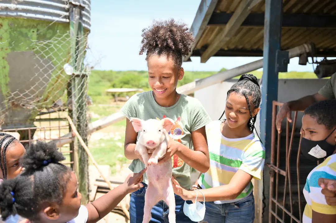 Budding Farmers Jamaica, the newest Ministry of Agriculture and Fisheries-endorsed initiative to promote farming among children, has successfully staged its first in-person Summer Grow Camp, two years after executing the programme online.
jis.gov.jm/budding-farmer…