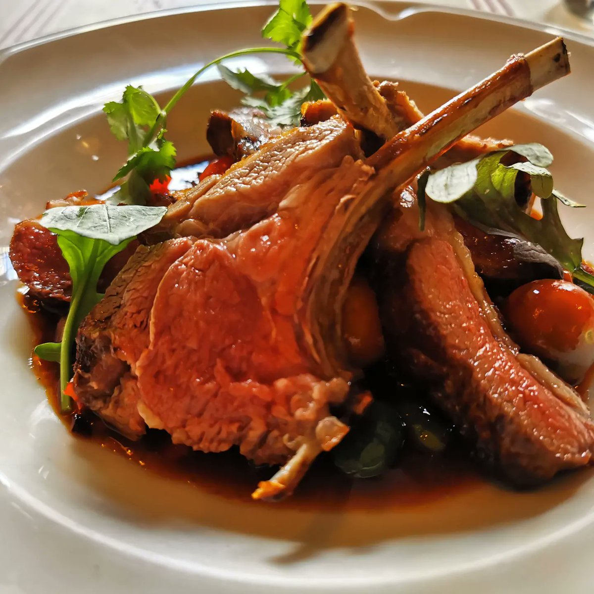 Ardochhebrideansheep tweet media