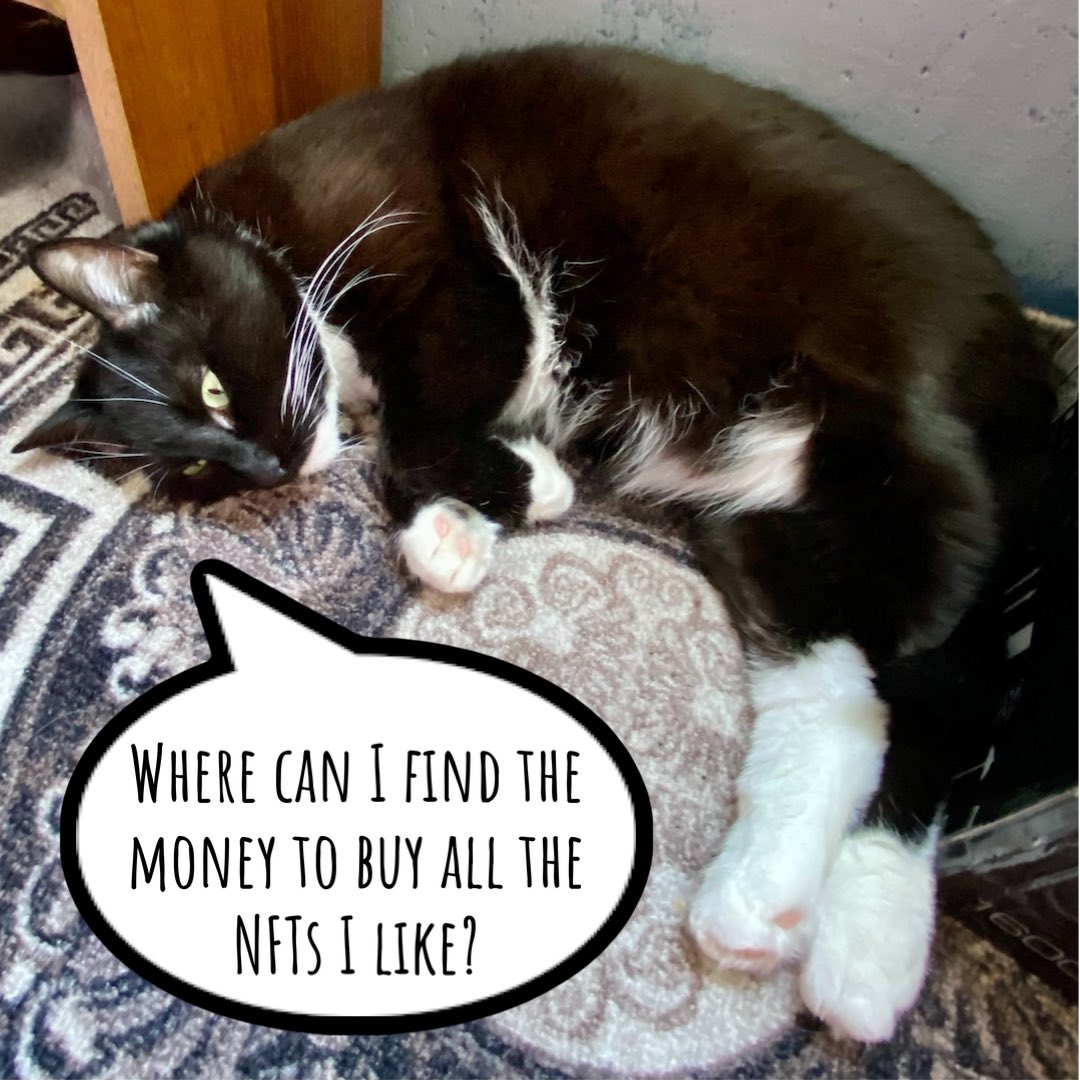 Catrin_de_Moore's tweet photo. Absolutely lazy day 🦥 

How are you today my friends? 😁 

Happy Friday anyway 🥳

#nft #nftfam #NFTfamily #NFTCommunity #CatsOfTwitter #nftart #nftartist #nftcollector #NFTcollections #NFTcollectibles https://t.co/mwnFQUxlgK