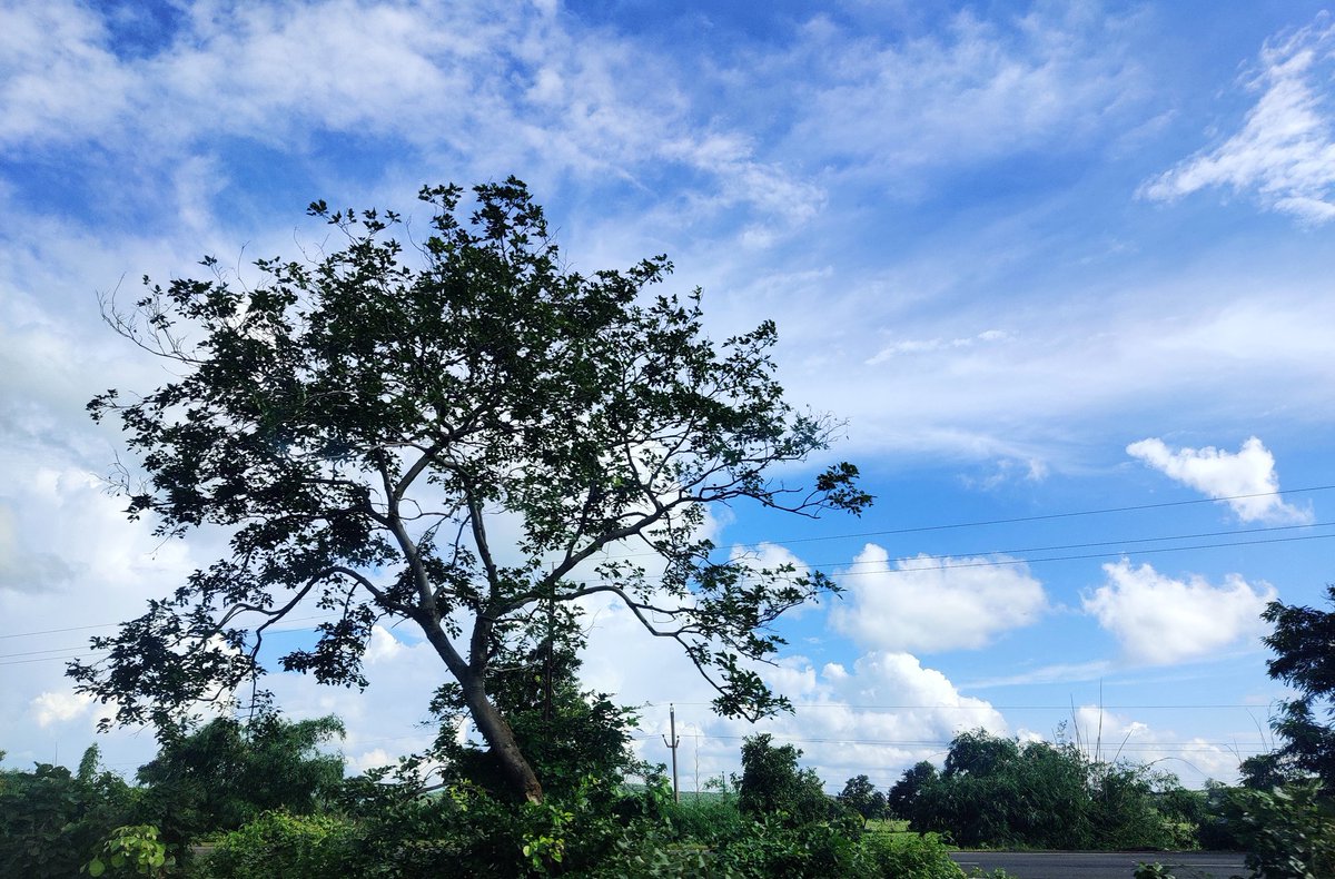 AnulataRajNair's tweet photo. मौक़ा भी है और दस्त��र भी।
#WorldPhotographyDay2022
#highwayphotography https://t.co/SUBg45FroG