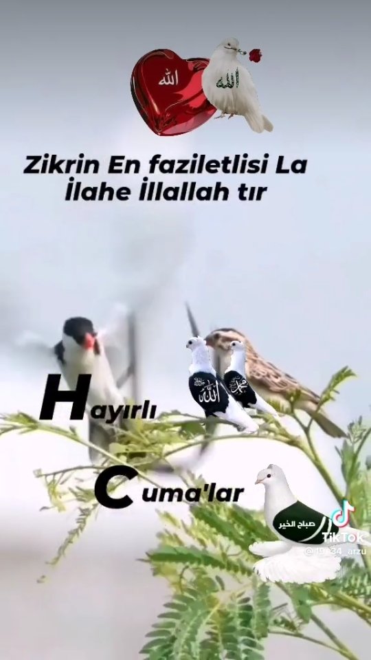 Hayırlı cumalar güzel ülkemin güzel insanları allah işinizi gücünüzü ras getirsin