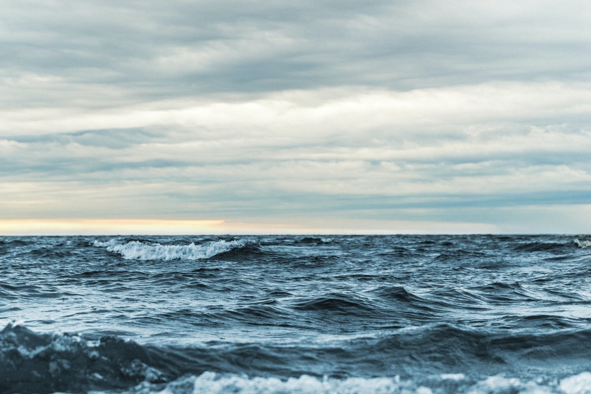 bluecarbones's tweet photo. De acuerdo con distintos estudios internacionales, el mar Báltico se conoce como el más contaminado del mundo. Con un promedio de 230 partículas por metro cúbico, la mayor parte de los residuos que se encuentran este mar suelen ser microplásticos y microfibras residuales. https://t.co/Gm7SUylKFv