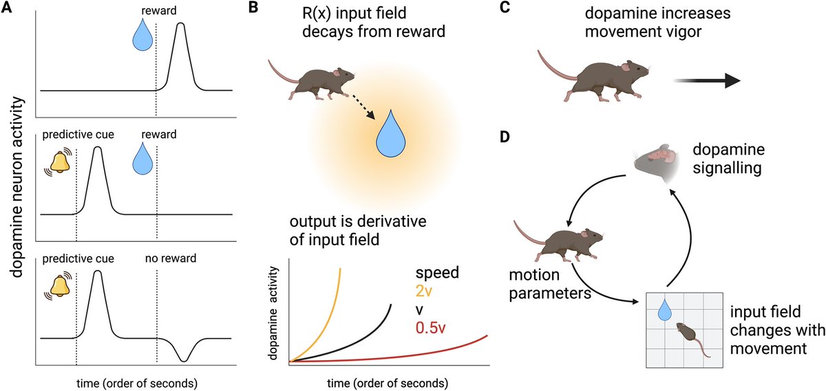 Uri Alon tweet media