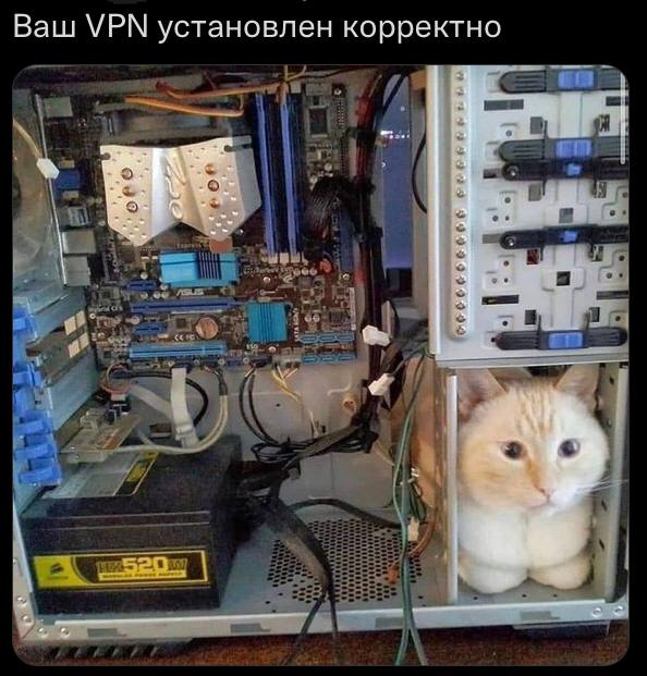 Ana95007444's tweet photo. @itpalpalich А котик если ещё, то вообще 🔥 https://t.co/r6fWz0lyph