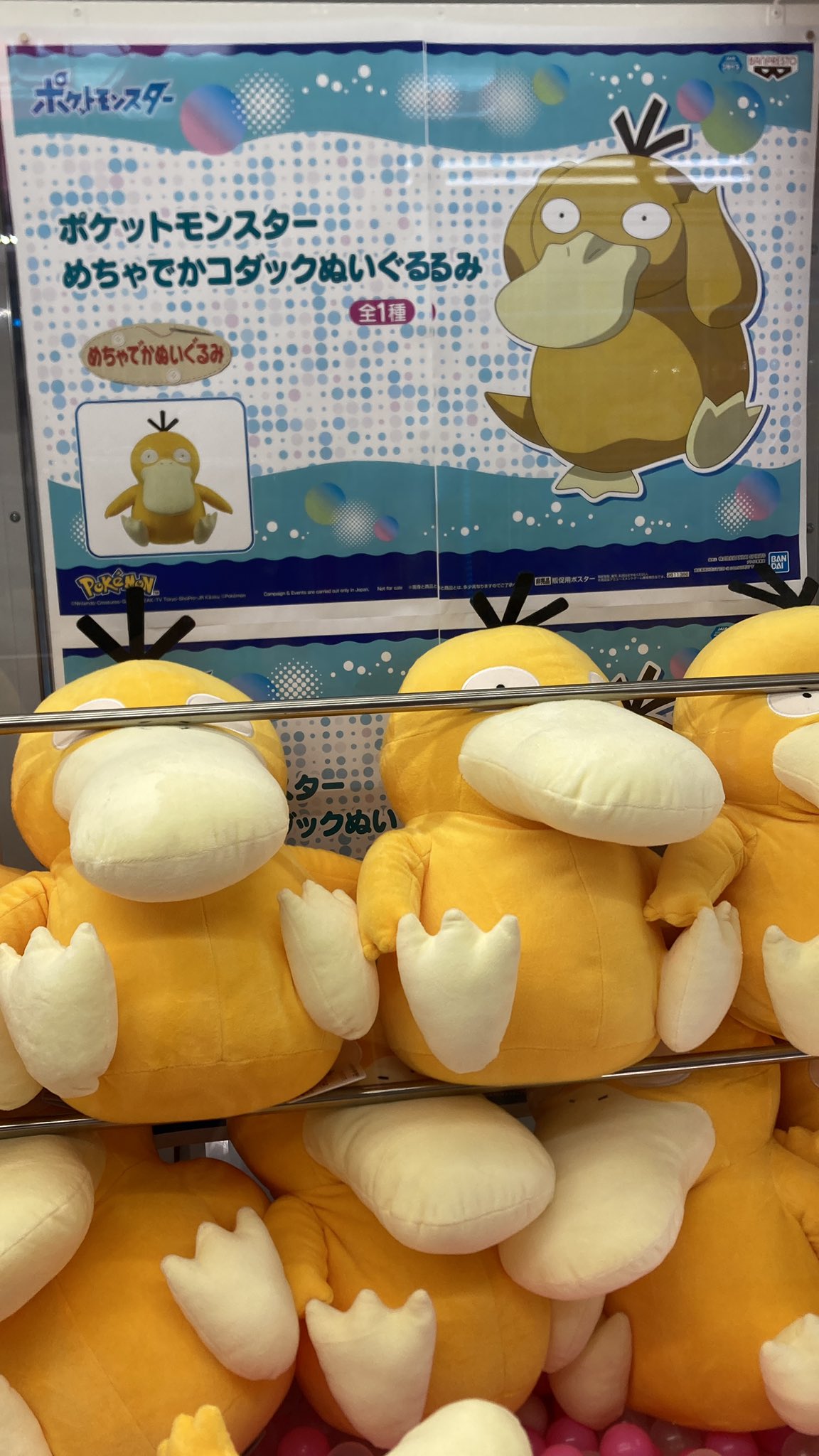 大勧め ポケットモンスター めちゃでかコダックぬいぐるみコダックpokemon Deep Purple Eu