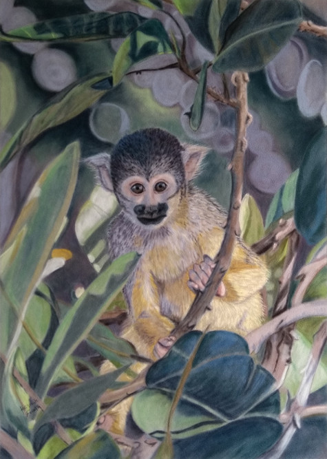 hannahfiadhart's tweet photo. The finished painting- this was a lot of fun to do 🙂 Squirrel monkey painted in Unison soft pastels on velour paper. #squirrelmonkey #pastelartist #wildlifeart #unisoncolour https://t.co/XLUBFGC63V