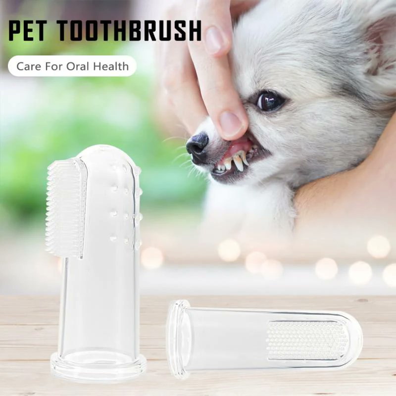 swancook2's tweet photo. Non-Hurt Toothbrush For Dogs
#dog #dogcare #dogtoothbrush #petstore #petsupplies
Shop now... https://t.co/sZ0xkwbnK9 https://t.co/BiyfG5yIdX