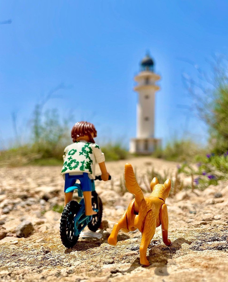 visitformentera's tweet photo. Nuestros visitantes son unos fotógrafos muy 🔝 Hoy #DíaMundialDeLaFotografía hemos querido rendirles un pequeño homenaje.⁠ 👉🏽Pásate por nuestro post de Instagram para ver algunas 📸más 😍😍⁠ https://t.co/twi8cGs2Pp 

📷 @viajarentreviag @beacrespo22 @Quemejor3 #kitebetu https://t.co/xtCk9XqmKy