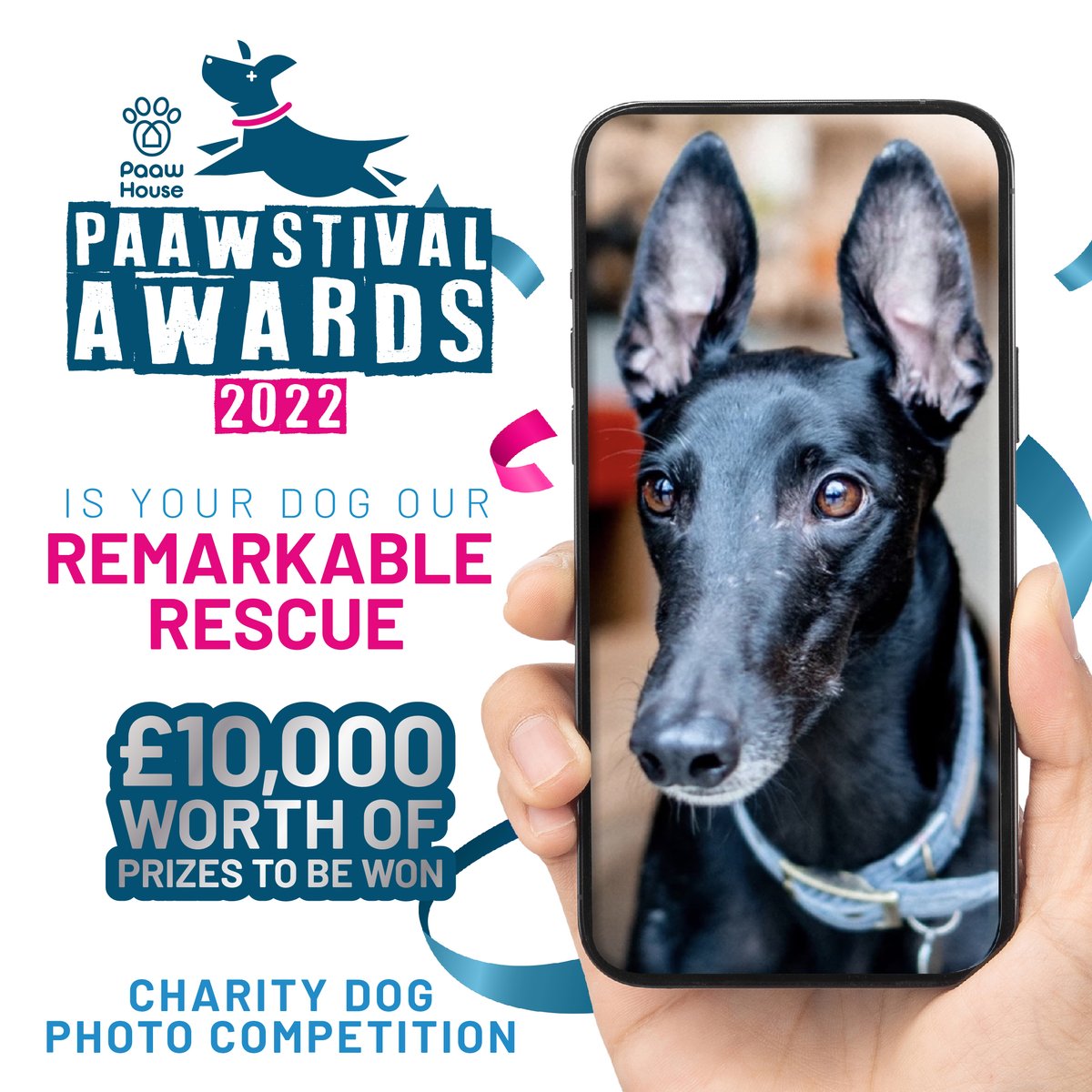 There are just 3 short days left to enter the PAAWstival online Charity Dog Awards. Enter here to be in with the chance of winning! paawstival.co.uk

There is 10K worth of fabulous prizes to win!