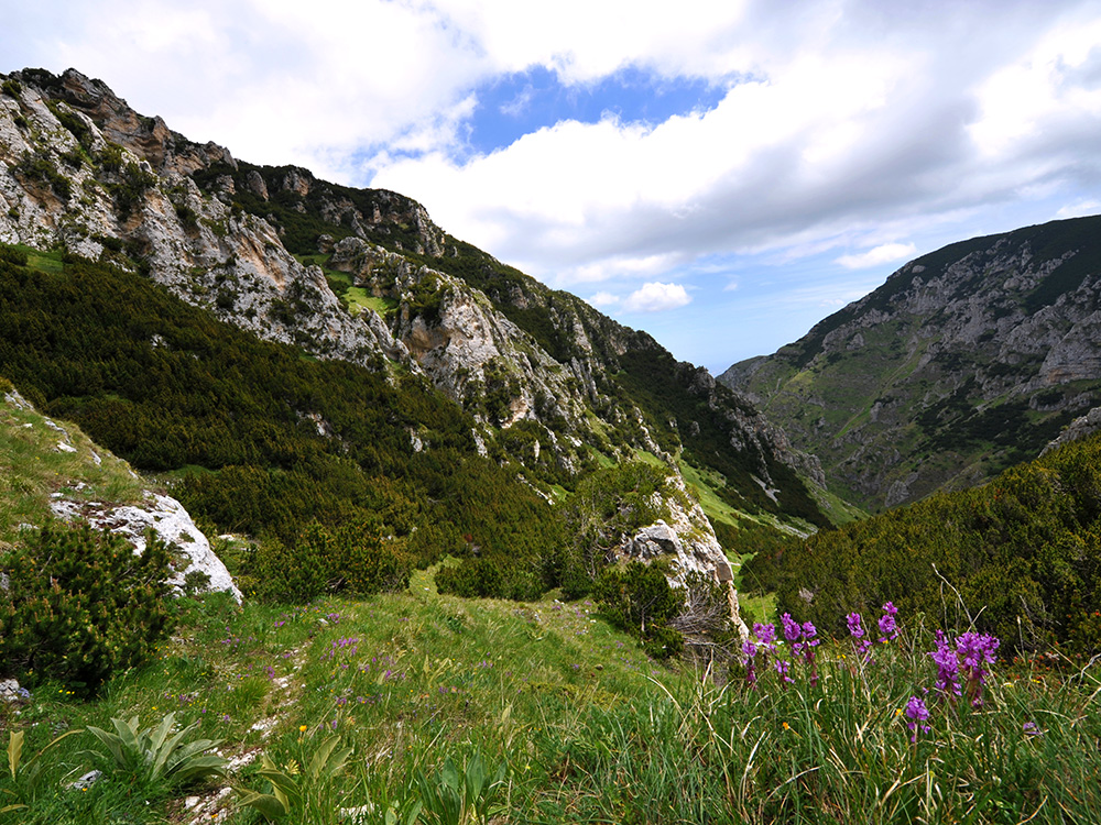 La valle di Palombaro rappresenta una delle più belle ed importanti aree di biodiversità della Maiella. #itineraripiùbelli #maiellaglobalgeopark #unescogeopark #maiellageopark #unescoglobalgeopark #scumaiella