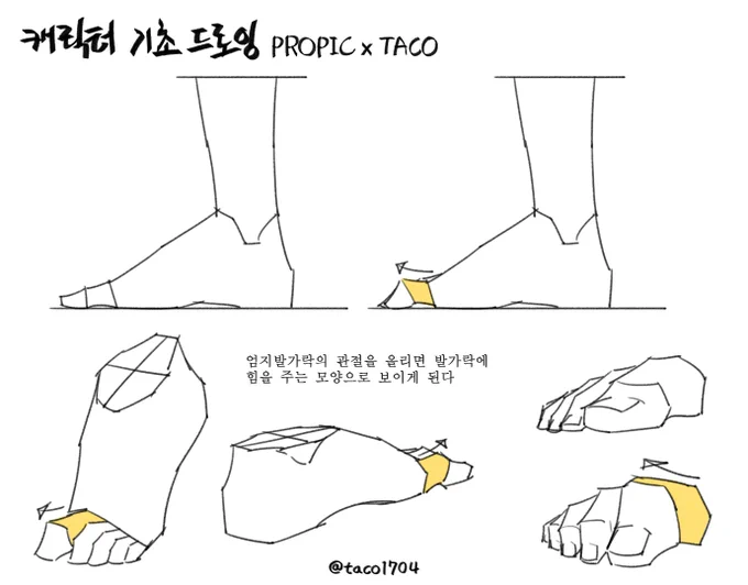 엄지발가락의 관절을 올리면 발에 힘을 주는 모양으로 보이게 된다 