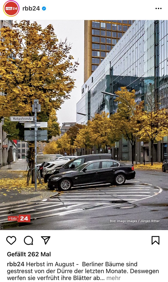 peterjwilke's tweet image. Instagram vs. Reality #HerbstimAugust 

@rbb24