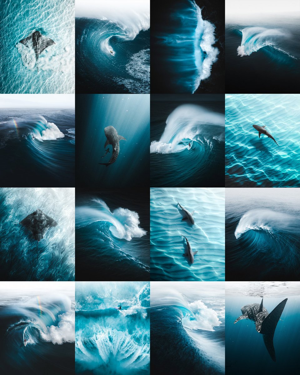 PHLYimages's tweet photo. Gm! Happy #WorldPhotographyDay! 💎🌊 https://t.co/n7qJeMWPzS
