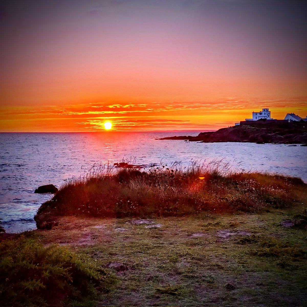 Bruno Koson tweet media