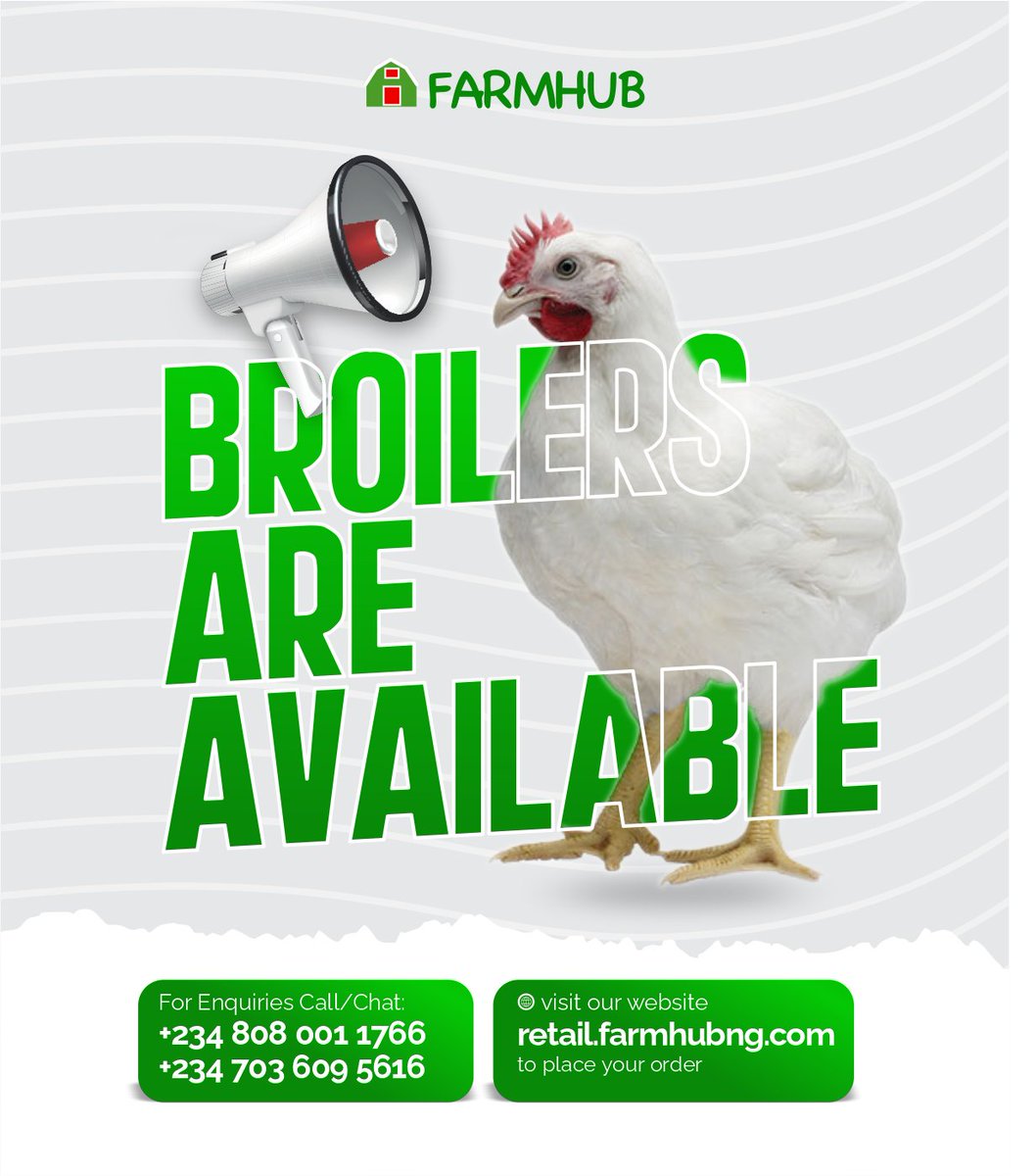 farmhub_ng's tweet photo. Light don come o! 

We get broilers for the soft life people! 

Frozen chicken - N2000 per kg (Wholsesale N18,000 per 10kg)
Fresh (dressed) - N4000 per bird
Live chicken - N3500 per bird (bulk purchase only)

P.S: We also have old layers at N3000 per bird. https://t.co/gkEJIrno1K