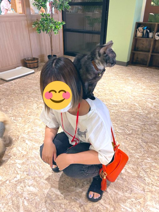 画像22枚 アニミルお台場店子連れ 1歳 訪問記 リピ確定 45分で24匹の動物との動物カフェでのふれあい体験で大満足 湾岸ワーママのほのぼのお出かけ日記