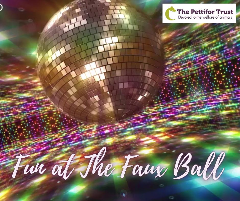 The Pettifor Trust (@pettifortrust) on Twitter photo Fun at the Faux Ball on Friday 25th November at Swansea <a href="/Village_Hotels/">Village Hotels</a> from 7pm, hosted by <a href="/KevJohnscymru/">Kev Johns MBE</a>.
Tickets are £40 each or a table of ten for £360. Contact us at info@pettifortrust.co.uk or 01792 281138. Fun at the Faux Ball on Friday 25th November at Swansea <a href="/Village_Hotels/">Village Hotels</a> from 7pm, hosted by <a href="/KevJohnscymru/">Kev Johns MBE</a>.
Tickets are £40 each or a table of ten for £360. Contact us at info@pettifortrust.co.uk or 01792 281138.