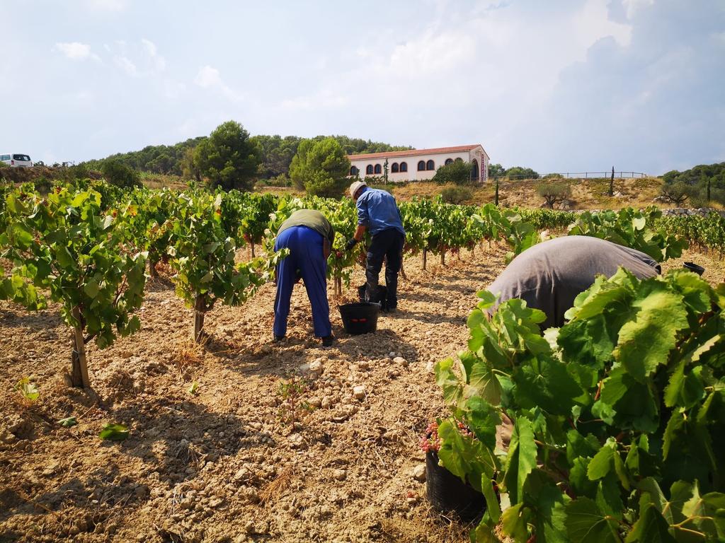 Celler Vell tweet media