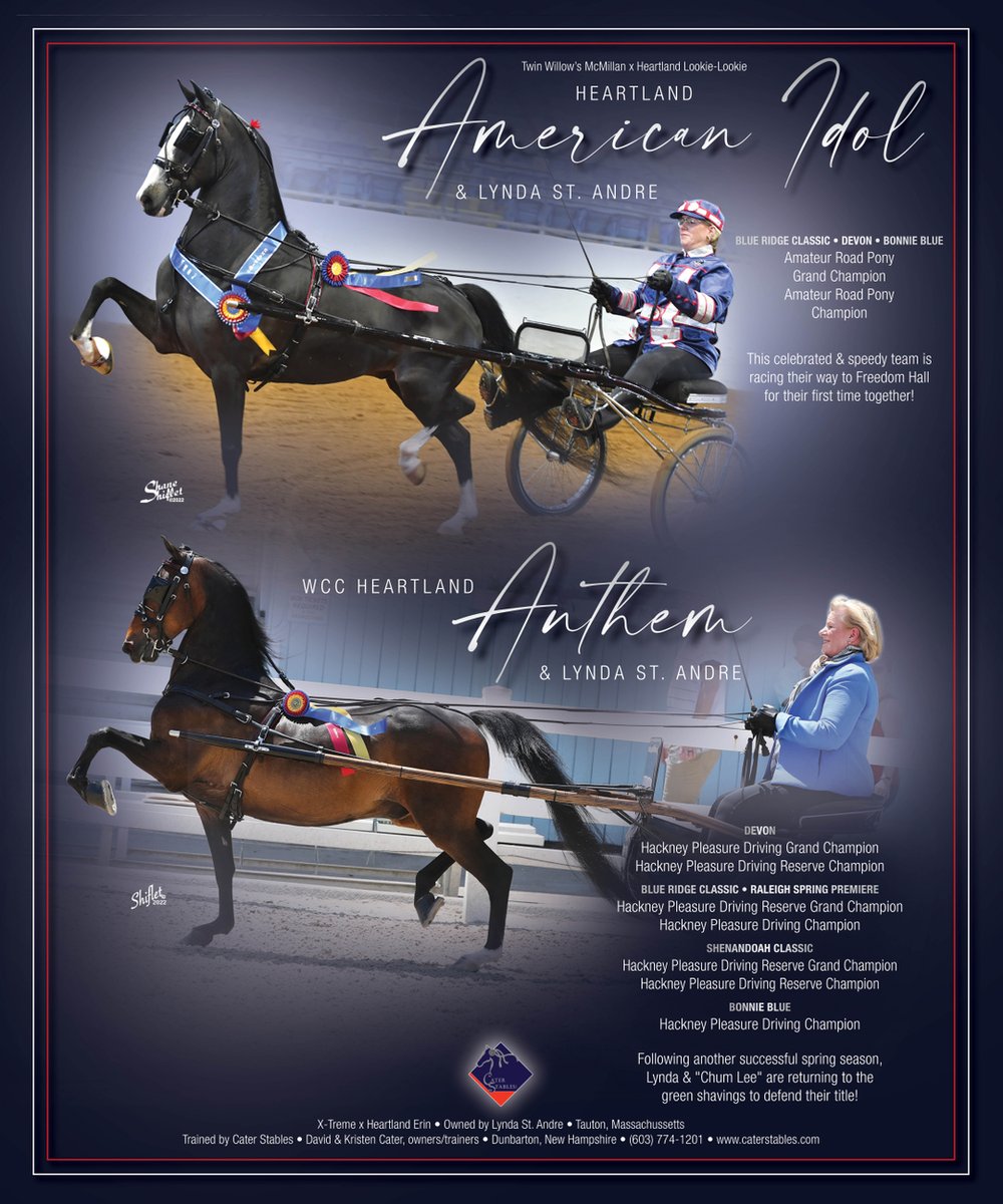 TNH1865's tweet photo. #nationalhorseman #worldschampionship #blueridgeclassic #devon #bonnieblue #shenandoahclassic #lyndastandre #caterstables #roadsterpony #hackneypleasuredriving #saddlebred https://t.co/eOuyEIvAeO