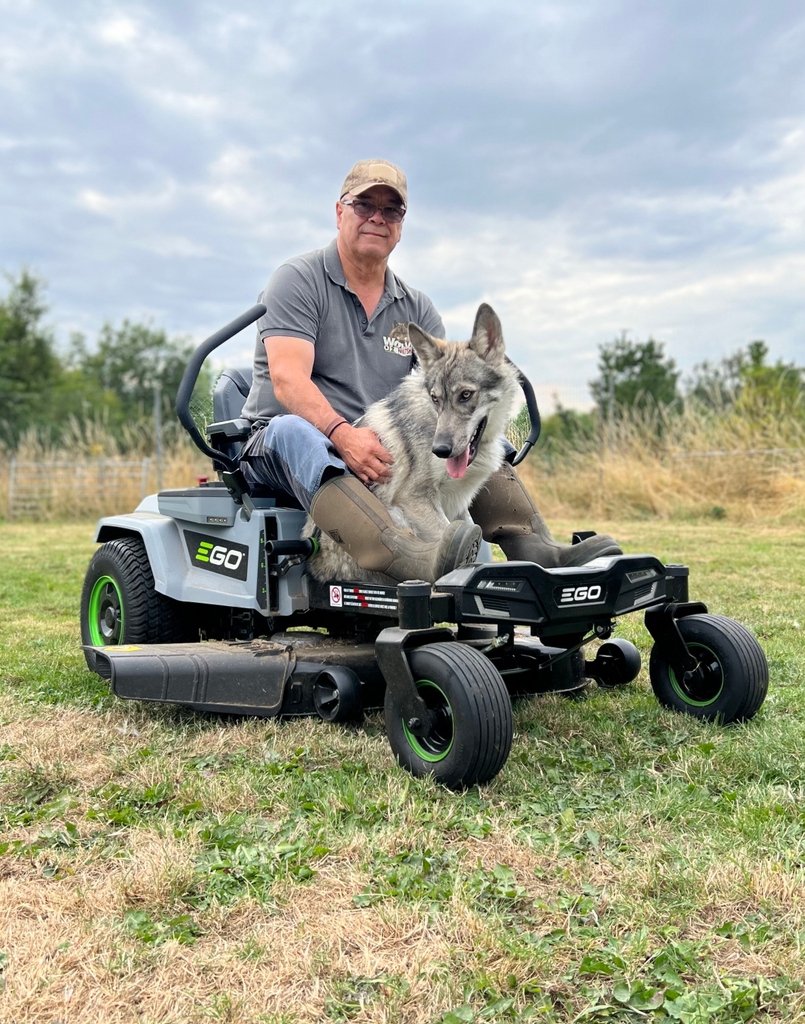 JohnMiller_GM's tweet photo. We checked in with the team at the Wolves of Wiltshire & The Little Zoo - they are loving their #Egopowerplus Z6 zero turn mower... turns out the wolves did too!
You can head over to https://t.co/8hcB6xhgkw to see what the team do and book in their wolf experiences https://t.co/LJSvj31CfA