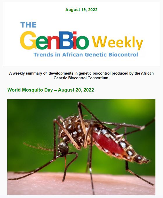 AfricaGeneBio's tweet photo. Get updated with the latest developments in genetic biocontrol by reading and subscribing to our latest weekly newsletter that comes out every Friday. 

View newsletter: https://t.co/7uPEfPKv5o 

Subscription link: https://t.co/6gjUiNHV10 

#GenBioWeekly https://t.co/uypooaqRV3