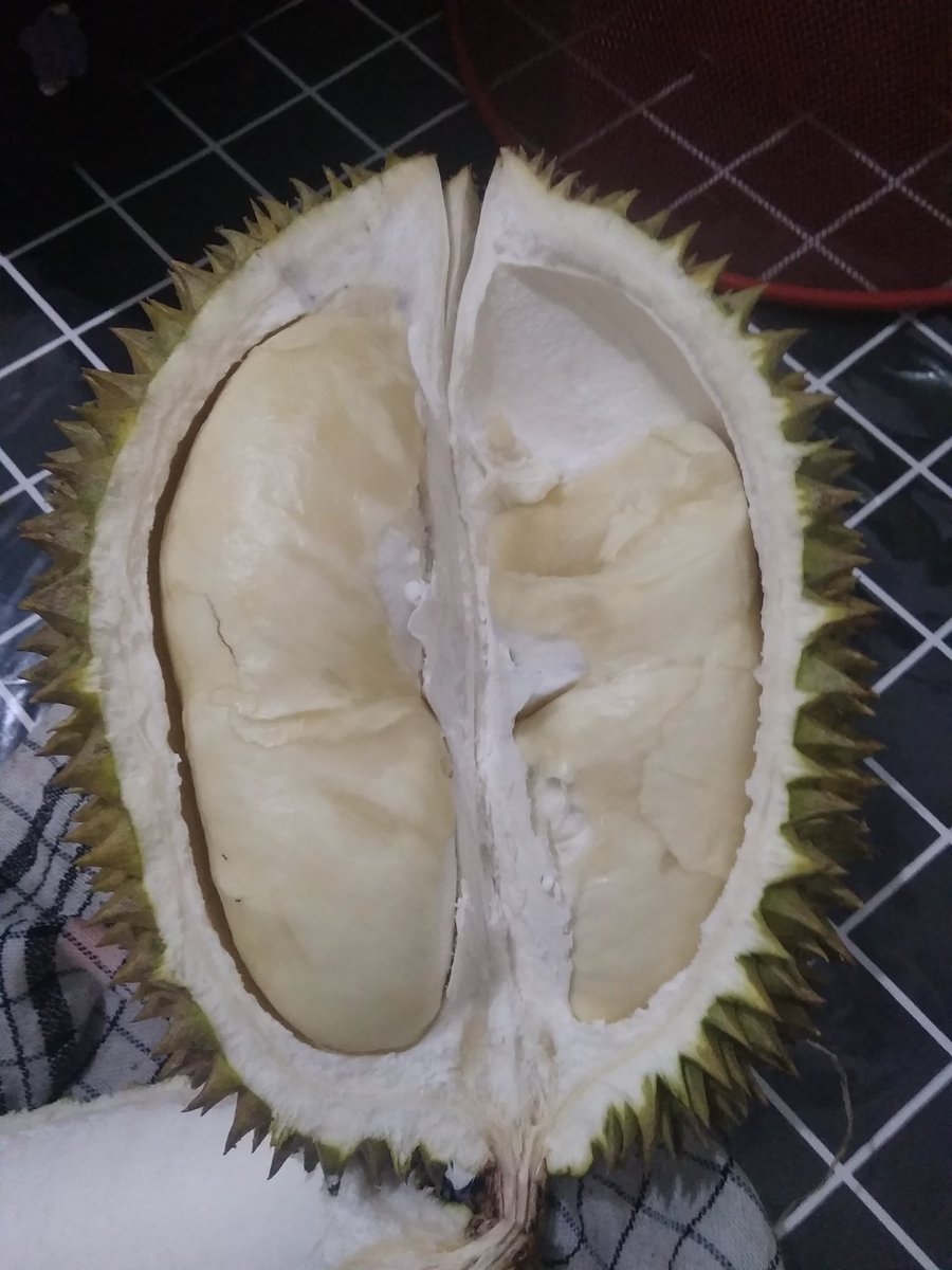 eloratour's tweet photo. BREAKING NEWS : Lampung Banjir Duren 😁
Elora Tour &amp; Adveture
https://t.co/zLU56qF3Qu
WA 0813-6919-1990

#eloratour #wisatalampung #tourtravellampung #paketwisatalampung #pakettourlampung #triplampung #liburanlampung
#jalan2lampung https://t.co/9jH4aCb8HX