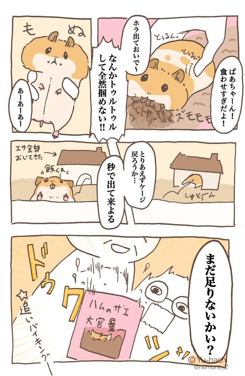 おばあちゃんとハムスター

 #ハムスターのいる生活 
 #ハムスターのいる暮らし 