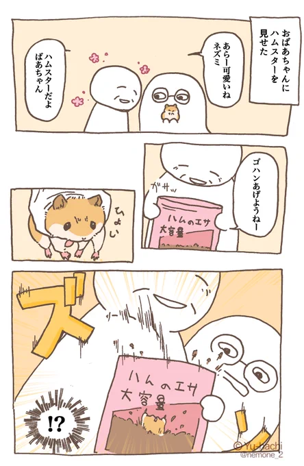 おばあちゃんとハムスター #ハムスターのいる生活  #ハムスターのいる暮らし 